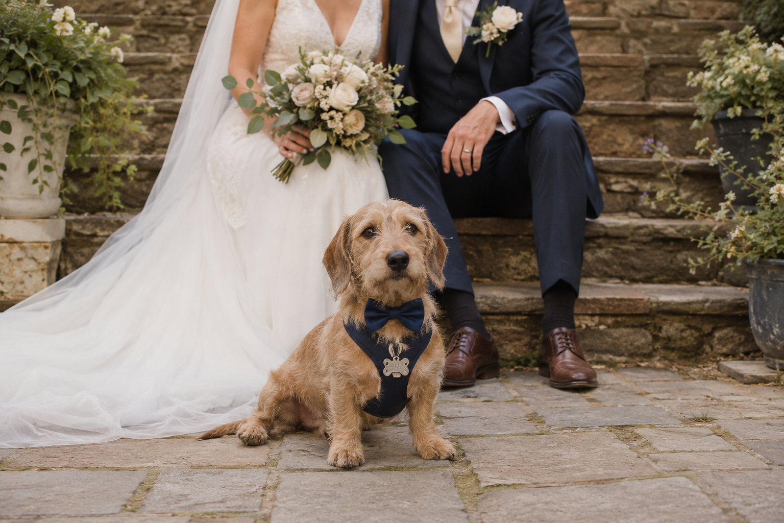 Why I Love It When Four-Legged Family Members Join the Ceremony